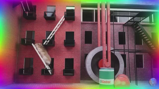 Приключения хомячка в мире кино! 5