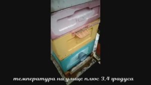 апрельское похолодание со снегом и как пчелам легче тепло в улье сохранить, 28.04.2026