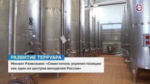Севастополь значительно укрепил позиции как один из центров российского виноделия