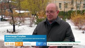 Синоптик объяснил, почему в России из-за непогоды начали падать деревья