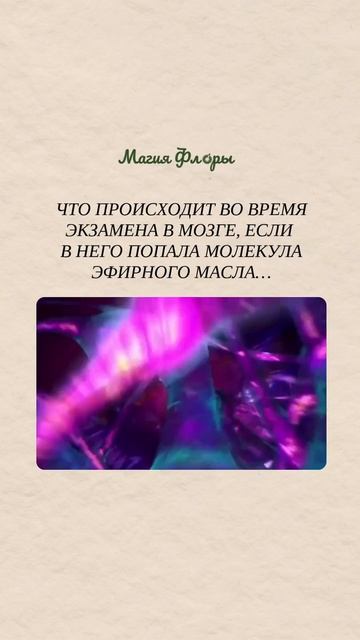Готовьтесь к экзаменам без истерик: ароматы, которые включают мозг и выключают панику!