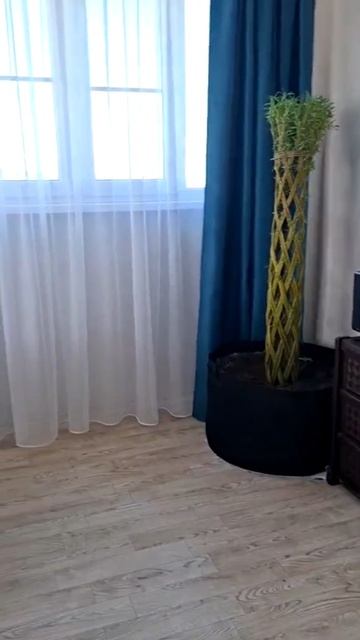 комната 6