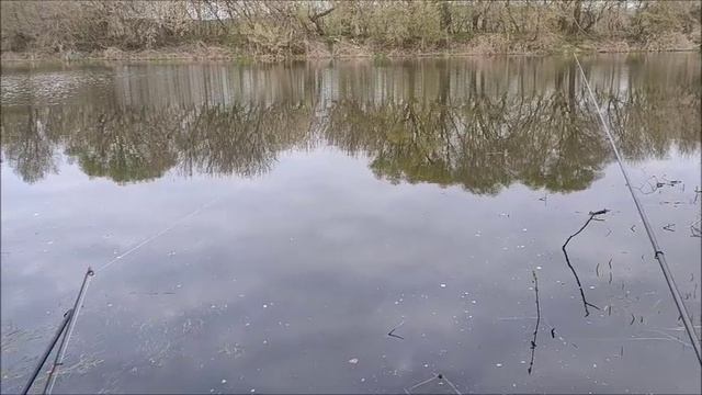 Рыбалка на озере Рылеево, мкр. Малышево, город Воронеж, 25.04.2026 года