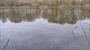 Рыбалка на озере Рылеево, мкр. Малышево, город Воронеж, 25.04.2026 года
