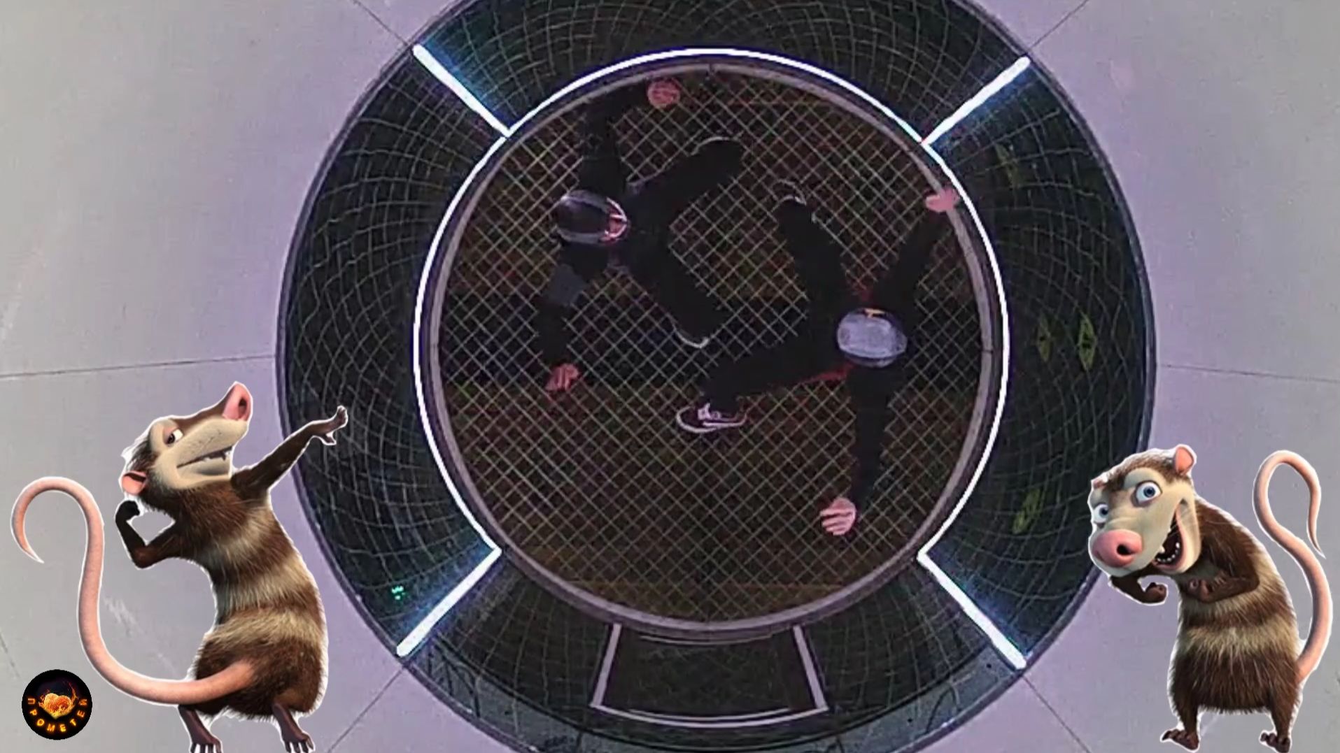 НИЖНИЙ НОВГОРОД КРЭШ И ЭДДИ подготовка кЧПФО по парашютному спорту в дисциплине VFS AAB2 класс INTER