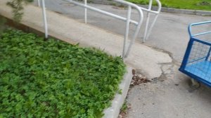 VID_20260428_071621.mp4