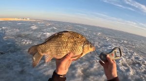 Я не думал что будут клевать такие ГИГАНТЫ...Шикарное закрытие!!! Весна радует уловом...