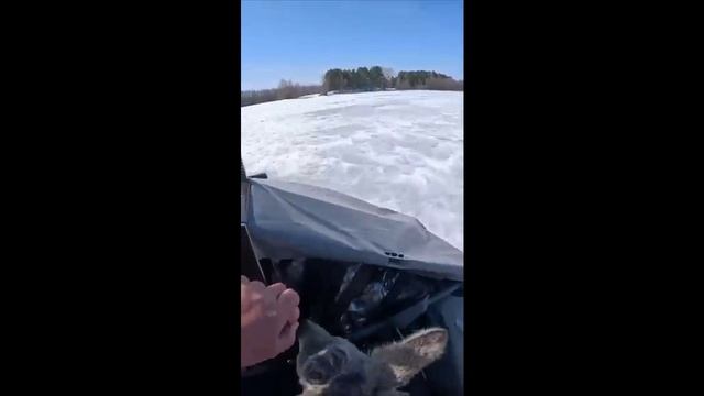 Калейдоскоп 88.