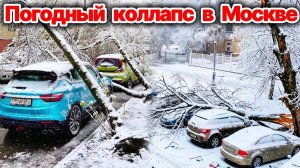Погодный коллапс в Москве❗ Рекордный снегопад и рекордные проблемы❗ Деревопад и ДТП на дорогах❗
