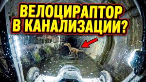 На видео из канализации заметили существо похожее на динозавра?