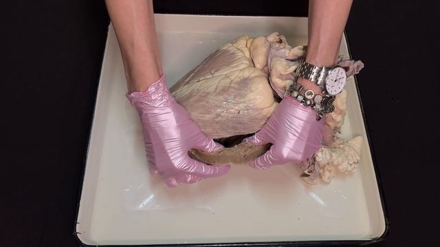 Строение сердца крупного рогатого скота