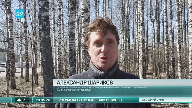 28.04.2026 Учёт сов