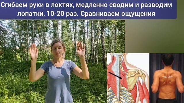Закрепощённый грудной отдел = угроза для шеи, мозга, плеч. Упражнения