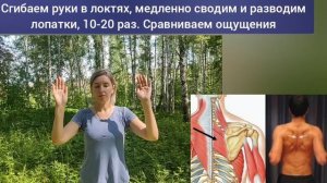 Закрепощённый грудной отдел = угроза для шеи, мозга, плеч. Упражнения