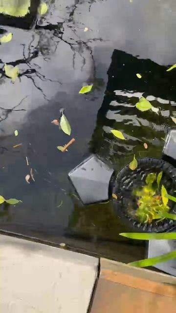 Скиммер  для пруда и водоема SCL-3500