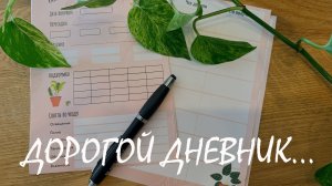 №130. 📝 Дневник цветовода. Сделала для вас и совсем недорого 😊