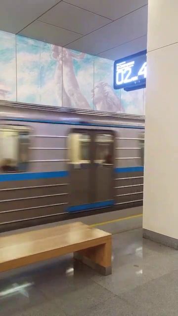 Станция метро поезд пассажир интерьер Москва Яхромская 44