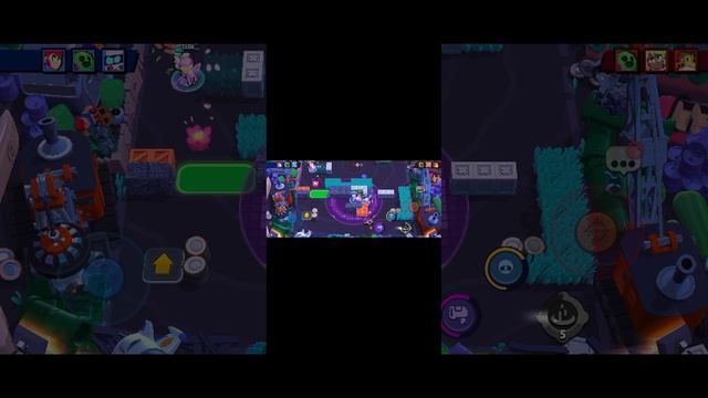 ----_------_------_----_