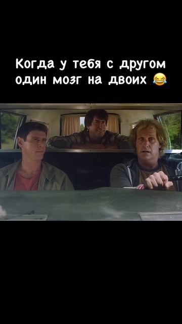 🎬 Тупой и ещё тупее 2 (2014)