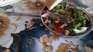 Что за  птица ко мне прилетела!?