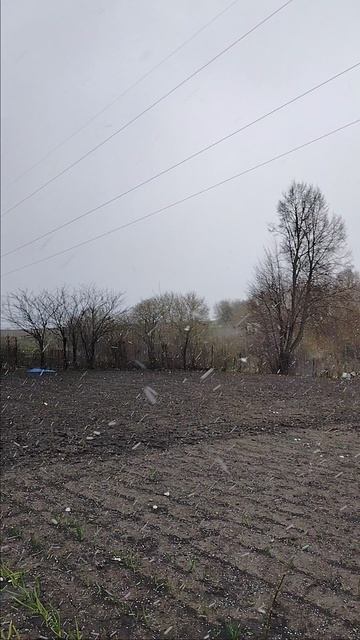 Снег. 28.04.2026.