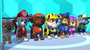 Щенячий патруль. СБОРНИК 1.  Смелые щенки чинят поломки в городе. Город зовет. Для детей