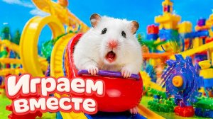 ХОМЯК ВЫБИРАЕТСЯ ИЗ СЕКРЕТНОЙ ХОМЯЧЕЙ ТЮРЬМЫ ! Играем ВМЕСТЕ ! Помогаем выбраться из лабиринта 6