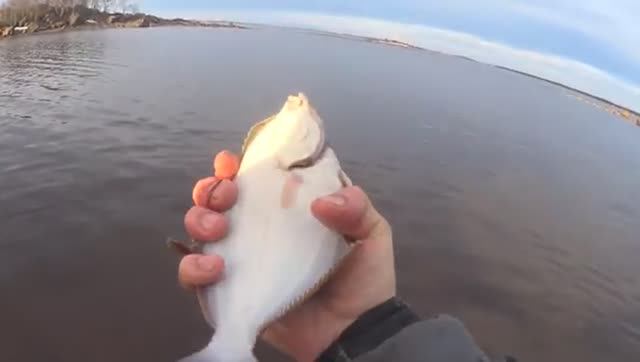 РЫБАЛКА ВО ЛЬДАХ СЕТКАМИ НА КОЛЬЯХ! ВЫЛОВИЛ ВСЁ ЖЕ!