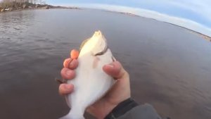 РЫБАЛКА ВО ЛЬДАХ СЕТКАМИ НА КОЛЬЯХ! ВЫЛОВИЛ ВСЁ ЖЕ!