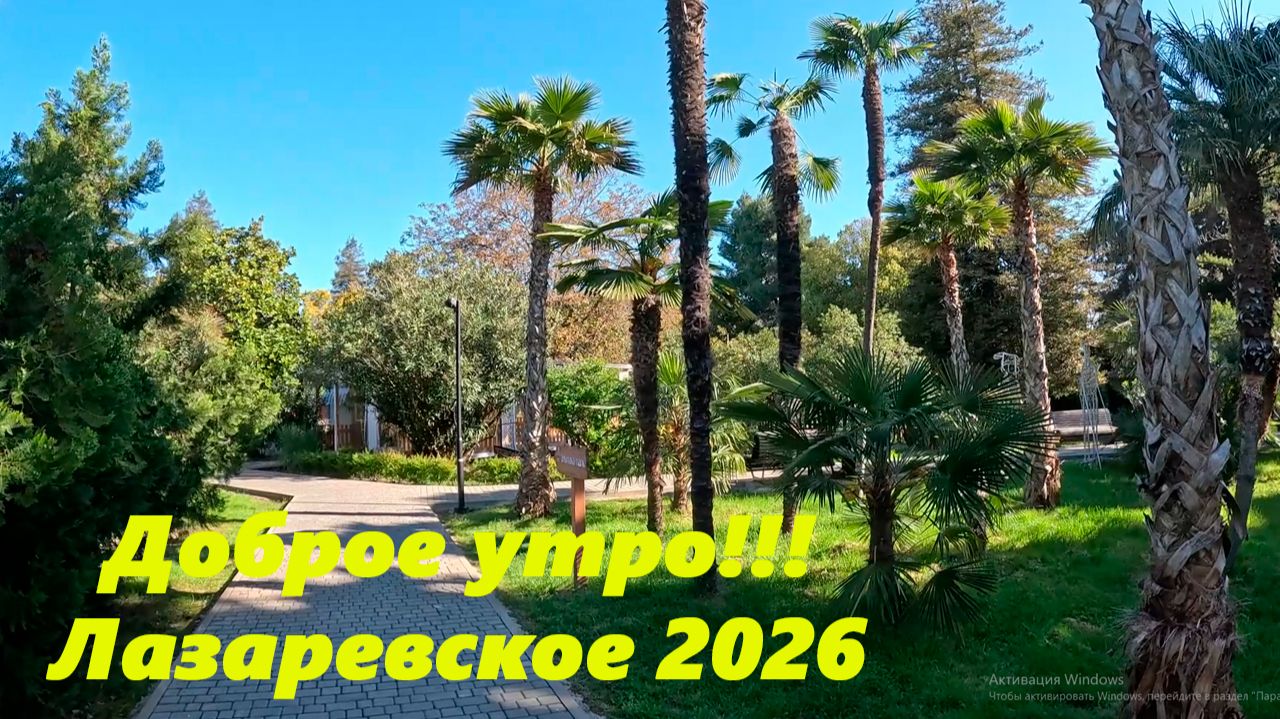 Доброе утро!!! Лазаревское 2026.