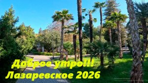 Доброе утро!!! Лазаревское 2026.