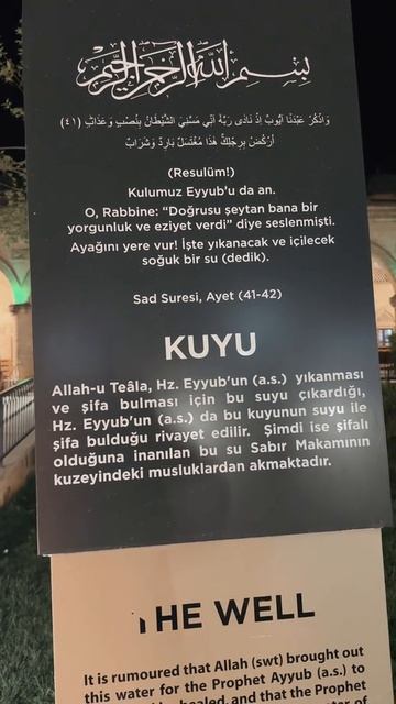 Колодец и пещера Иова Яна Титова NSM