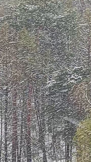 В Москве продолжает идти снег 11:00 (по старому календарю сейчас не 28.04.26., а 15.04.26.)