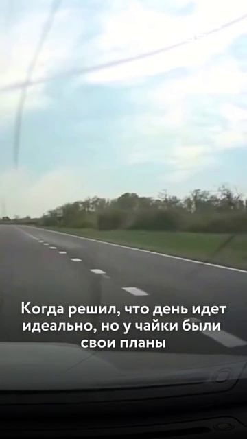 Скидывай другу, у которого такая же «потрясающая» удача по жизни 😂