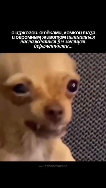 Беременность