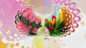 Весна! Очаровательные тюльпаны 5! Киностудия Мудрого Кота Тимофея!