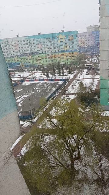 допустим смотреть онлайн