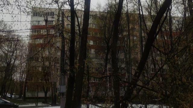 28 апреля магический пасмурный прогноз погоды от волшебника и поваленные деревья....