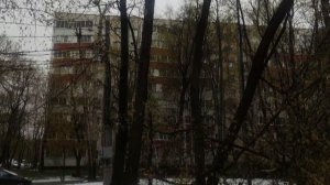 28 апреля магический пасмурный прогноз погоды от волшебника и поваленные деревья....