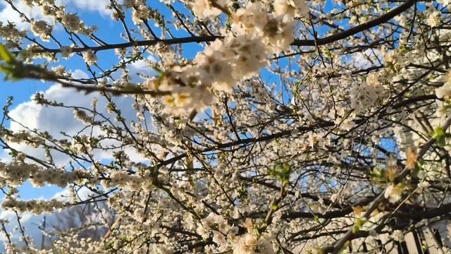Красота в глазах смотрящего