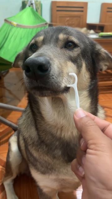 Так вот для чего оно