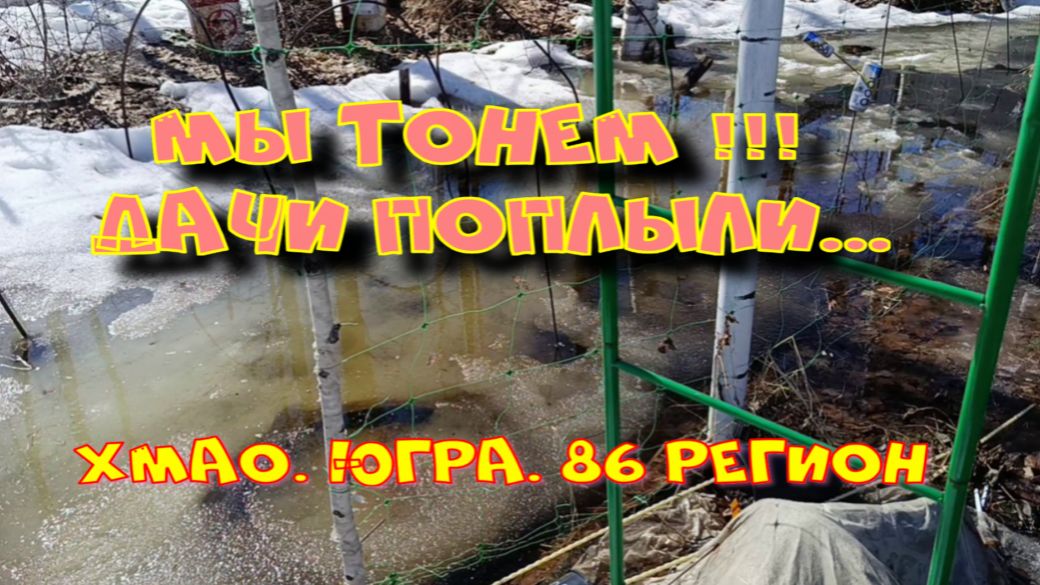 ДАЧИ ЗАТОПИЛО... ЧТО БУДЕТ С МНОГОЛЕТНИМИ РАСТЕНИЯМИ?