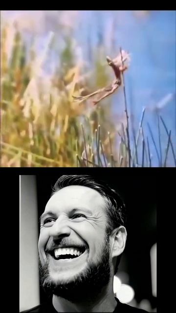 Учись лажать красиво!