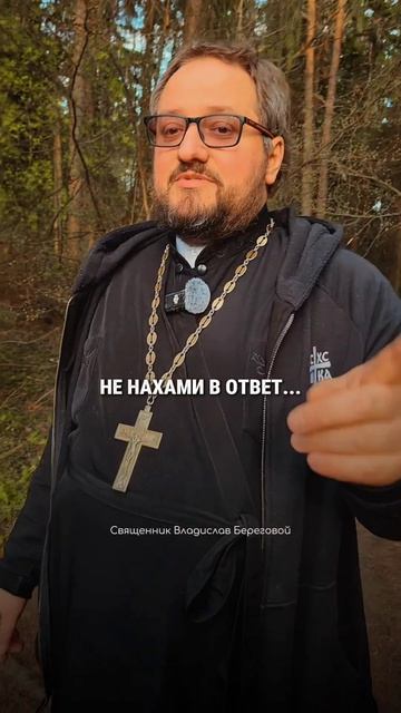 😎😉 ТВОИ #мотивашки от Берегового на каждый день