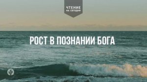 РОСТ В ПОЗНАНИИ БОГА  | АУДИО |	12	  мая 2026