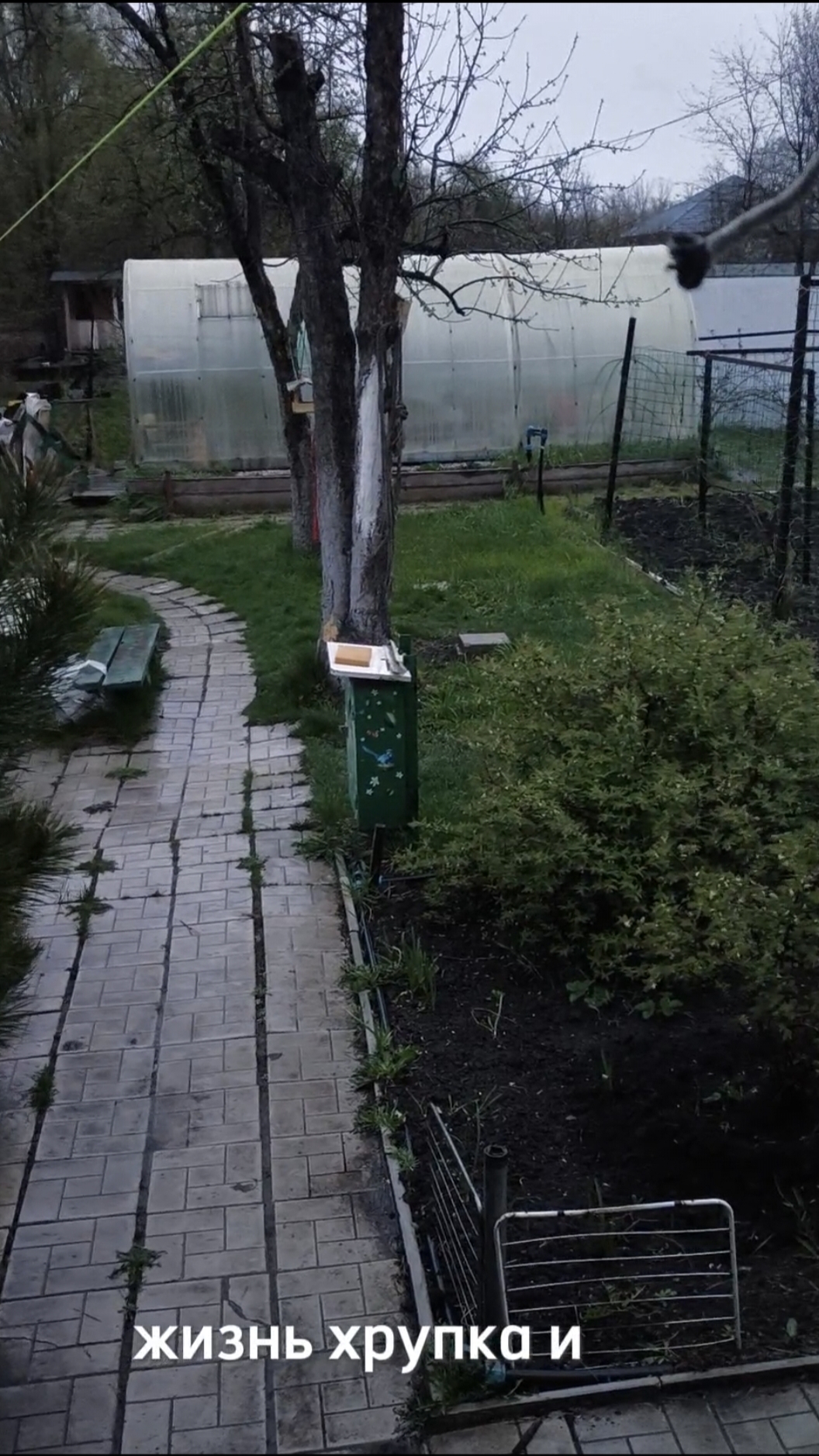 Жизнь хрупка и драгоценна