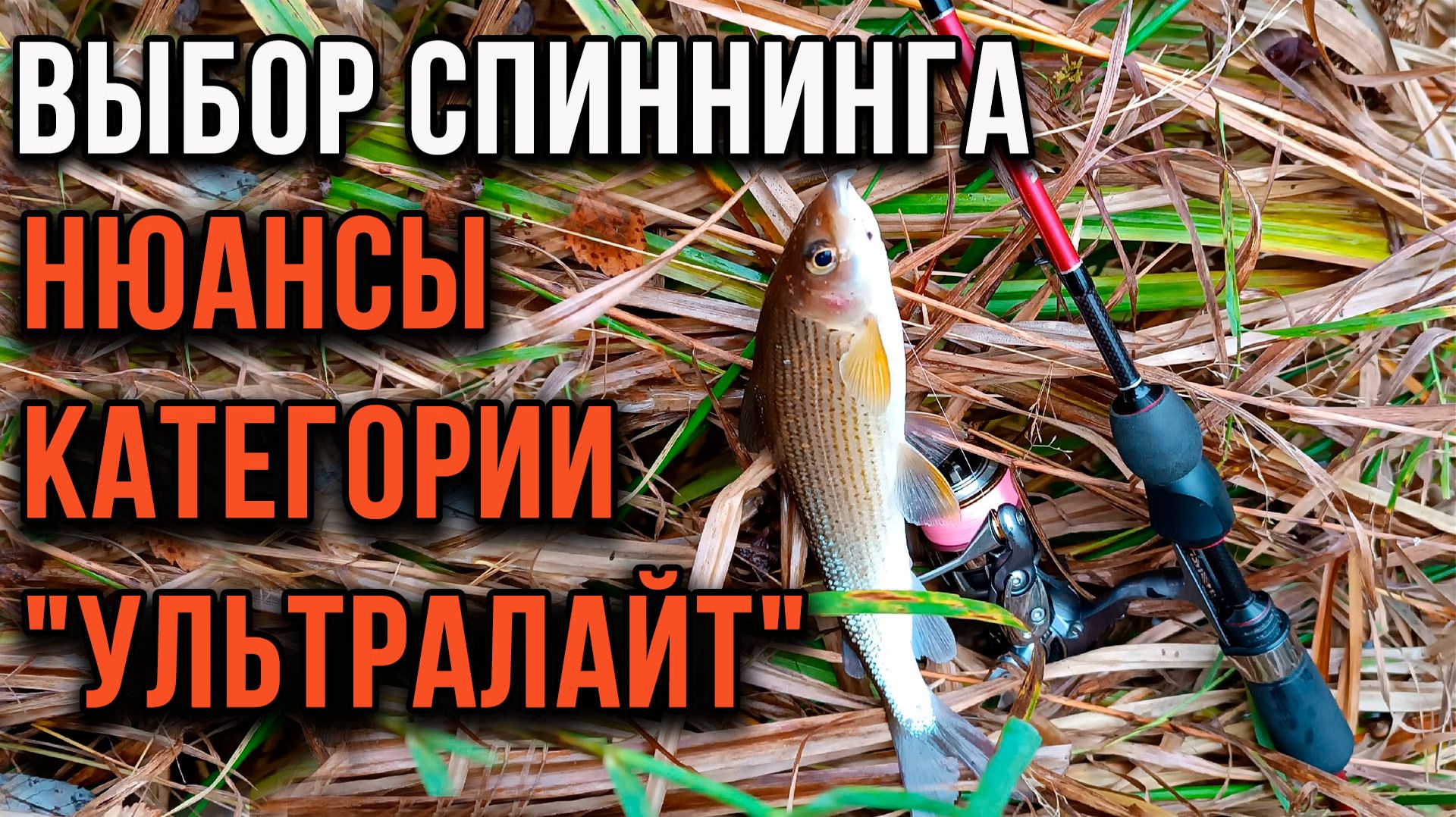 Выбор спиннинга. Нюансы категории ультралайт