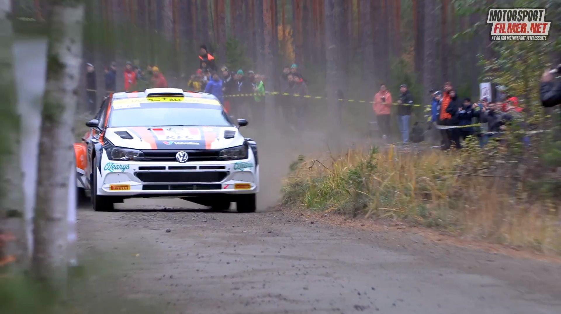 Ралли: гонки по бездорожью