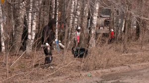 Воскресная уборка мусора: Экологическая инициатива в лесополосе у южного кольца