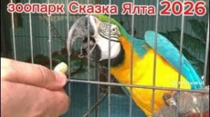 Крым 2026 / Ялта контактный Зоопарк Сказка ❗️Стоимость билета. Кого вы там увидите ( 2 часть).